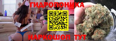 мяу мяу мука Новодвинск