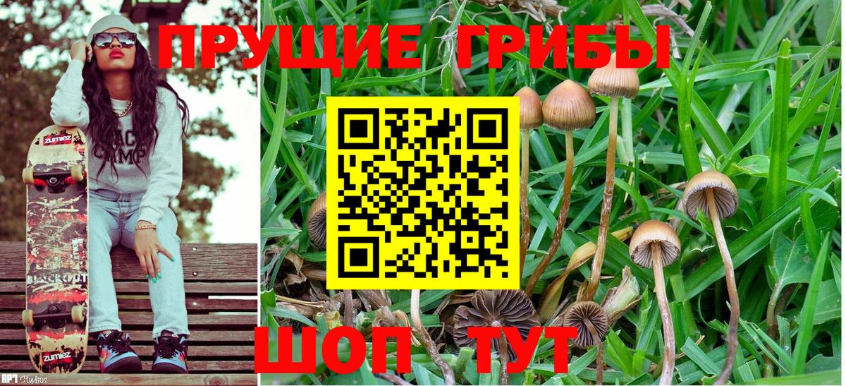 Псилоцибиновые грибы ЛСД Анапа