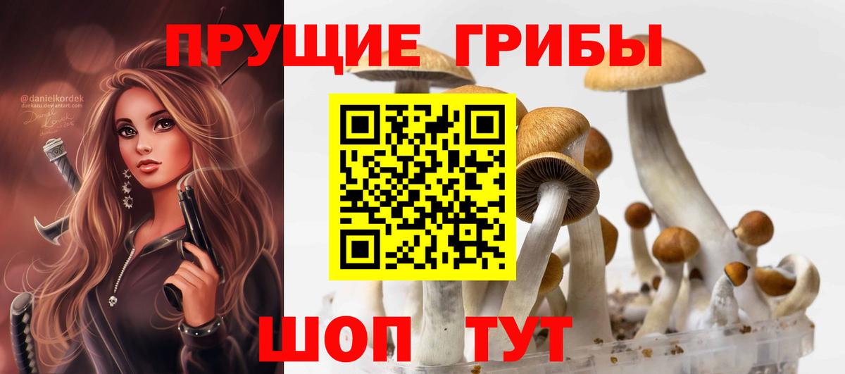 Галлюциногенные грибы Psilocybine cubensis  Псилоцибиновые грибы ЛСД  Вход с VPN  Анапа 